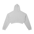 Session cropped hoodie