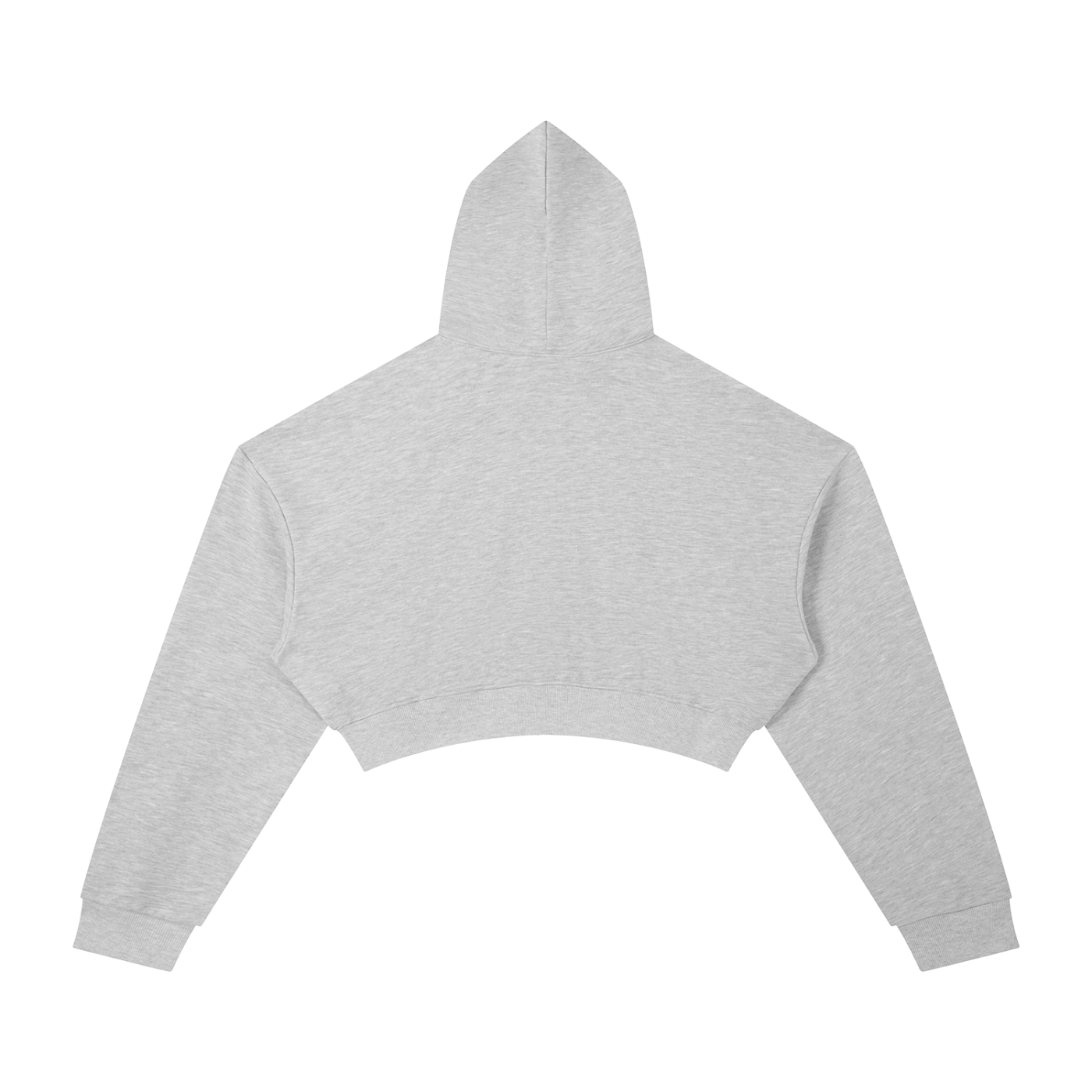 Session cropped hoodie